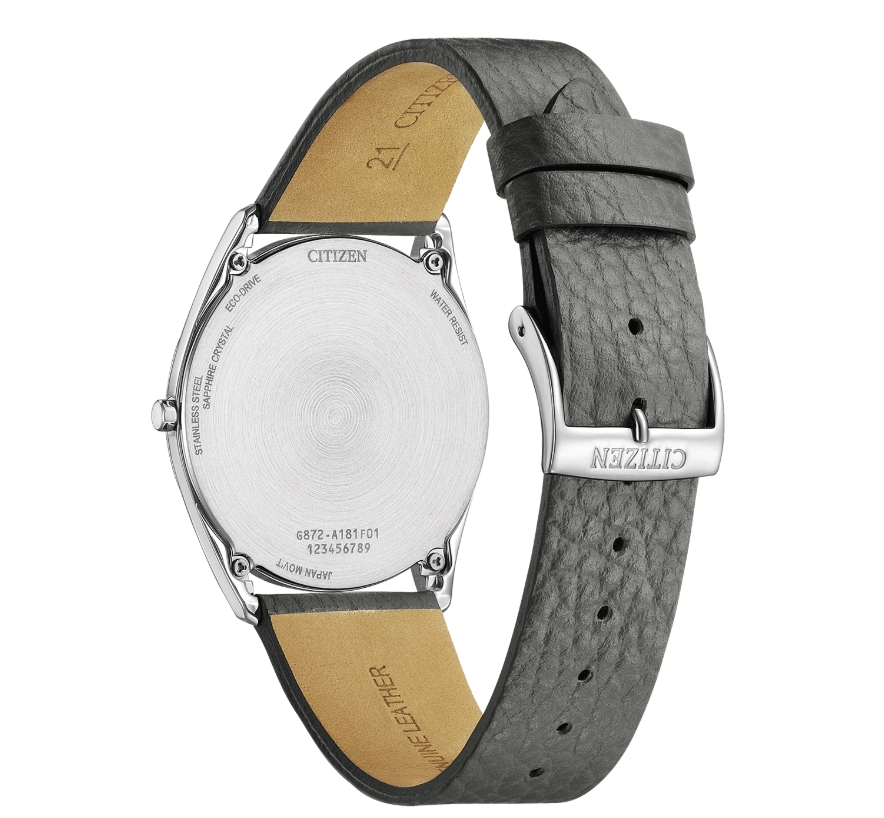 Citizen Eco-Drive Suratto AR3120-24L Erkek Kol Saati