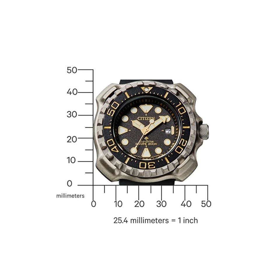 Citizen BN0220-16E Kol Saati